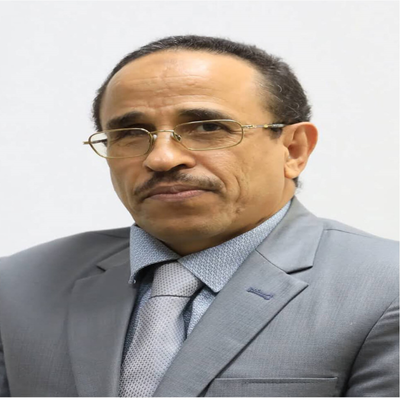 Prof. Ali Hussein Zolait, Ph.D., Associate Professor, College of Information Technology, University of Bahrain