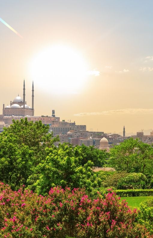 green egypt