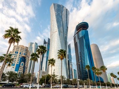 Qatar Insights
