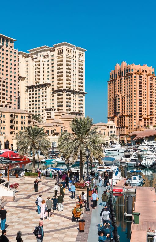 qatar expat hub